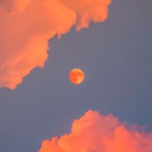 啪啪啪在线观看视频
