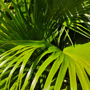 啪啪啪在线观看视频
